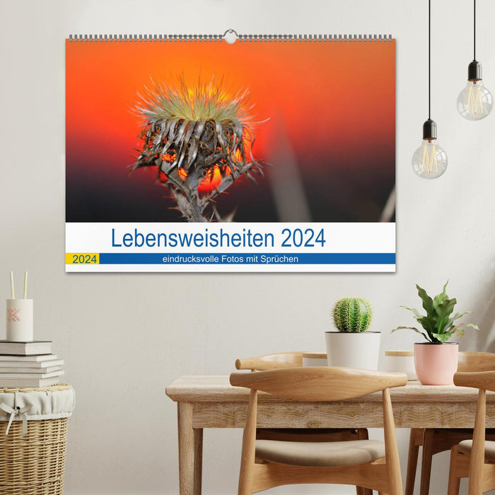 Lebensweisheiten 2024 (CALVENDO Wandkalender 2024)