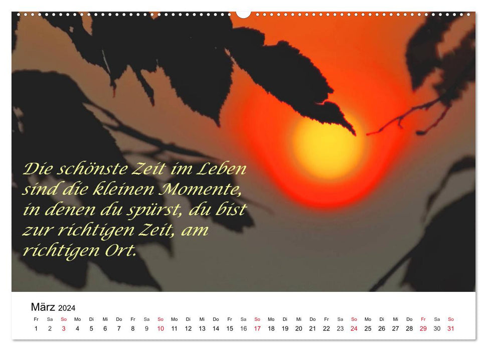 Sagesse de vie 2024 (Calendrier mural CALVENDO 2024) 