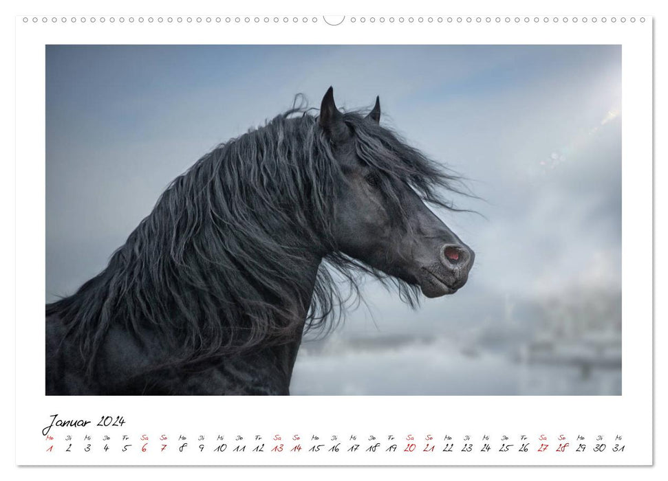 Frisians - proud giants (CALVENDO wall calendar 2024) 