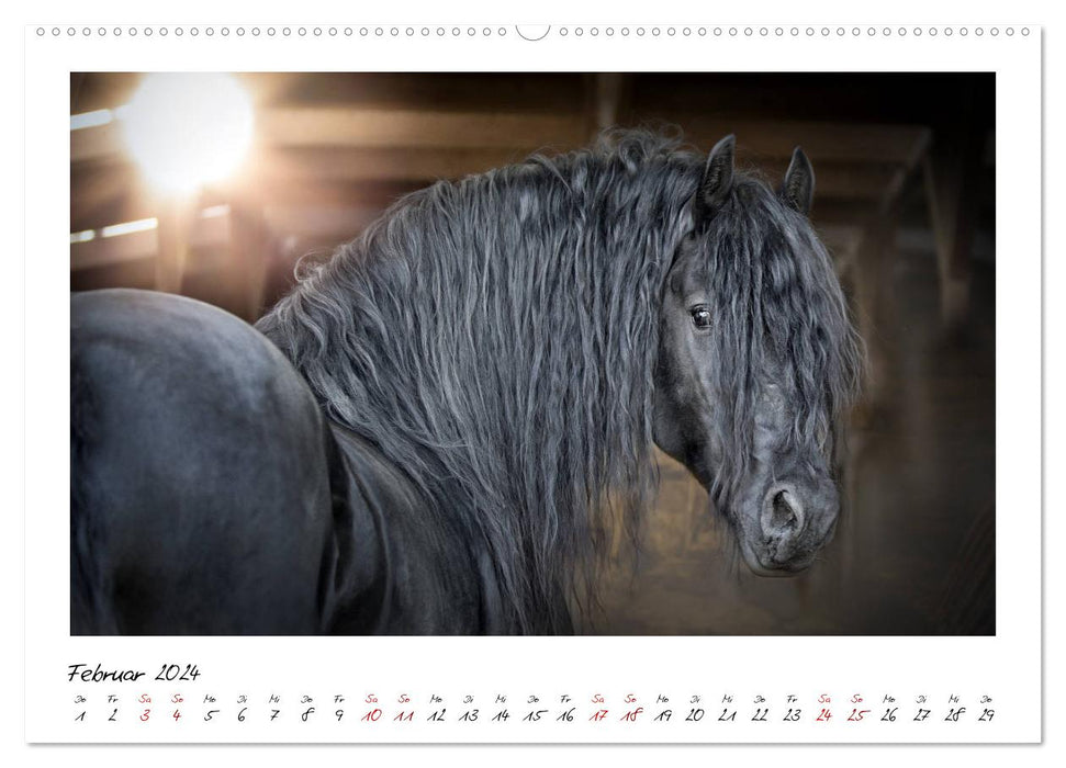 Frisians - proud giants (CALVENDO wall calendar 2024) 