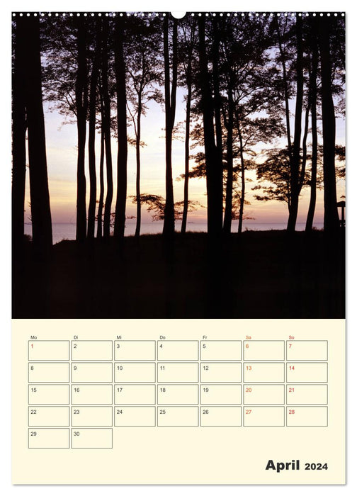 Usedom (CALVENDO Premium Wandkalender 2024)