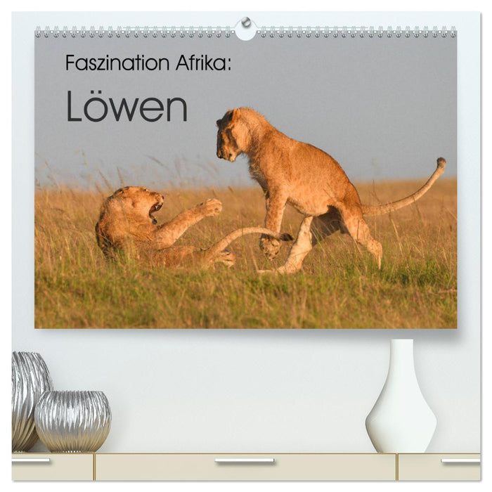 Fascination Africa: Lions (CALVENDO Premium Wall Calendar 2024) 