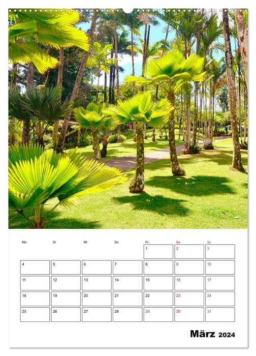 Pure Caribbean - with charm and magic (CALVENDO wall calendar 2024) 