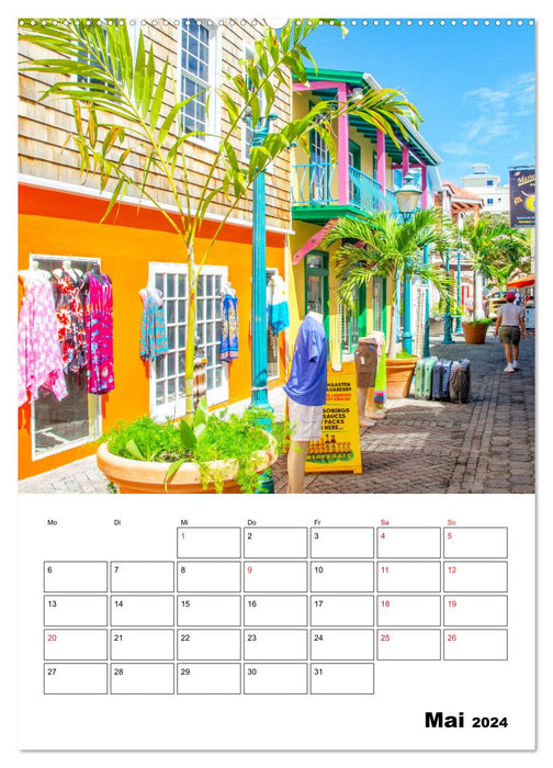 Pure Caribbean - with charm and magic (CALVENDO wall calendar 2024) 