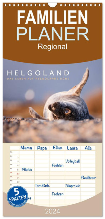 Helgoland - Das Leben auf der Düne Helgolands (CALVENDO Familienplaner 2024)