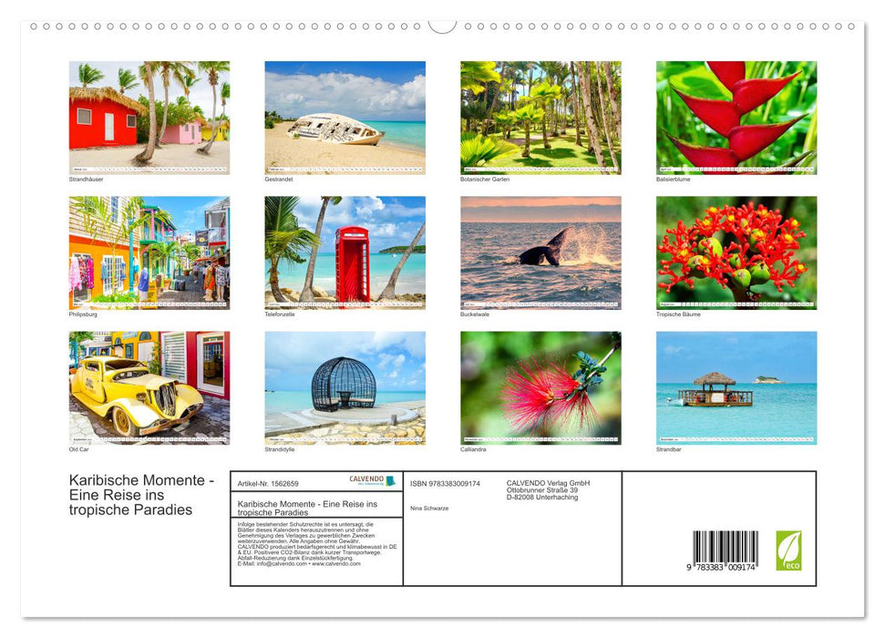 Moments caribéens - Un voyage dans un paradis tropical (Calendrier mural CALVENDO Premium 2024) 