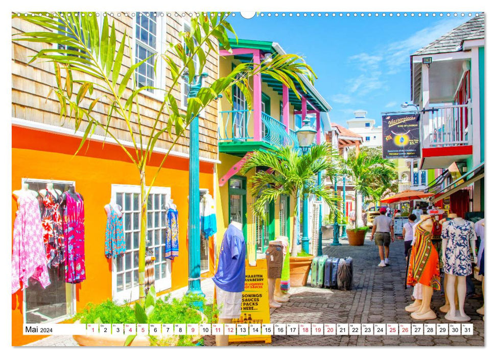 Moments caribéens - Un voyage dans un paradis tropical (Calendrier mural CALVENDO Premium 2024) 