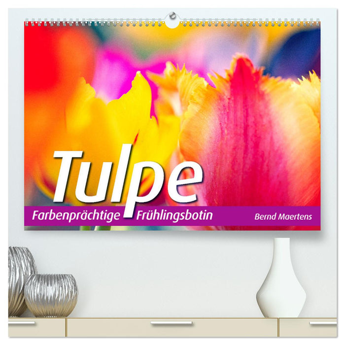 TULIPe Messager coloré du printemps (Calvendo Premium Wall Calendar 2024) 