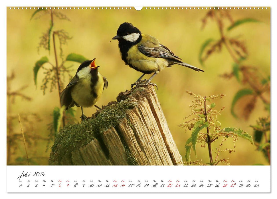 Dans le cycle annuel de la nature (Calendrier mural CALVENDO Premium 2024) 