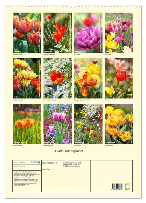 Bunte Tulpenpracht (CALVENDO Wandkalender 2024)