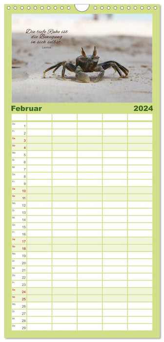 Ruhe und Gelassenheit 2024 (CALVENDO Familienplaner 2024)