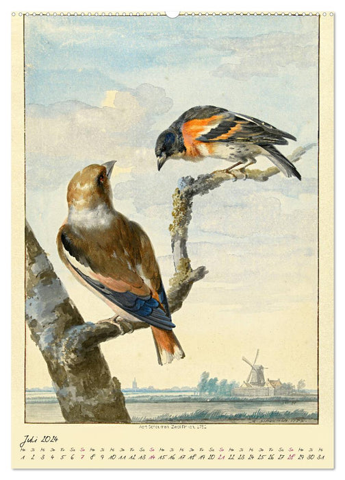 Aert Schouman. BIRDS (CALVENDO Premium Wall Calendar 2024) 