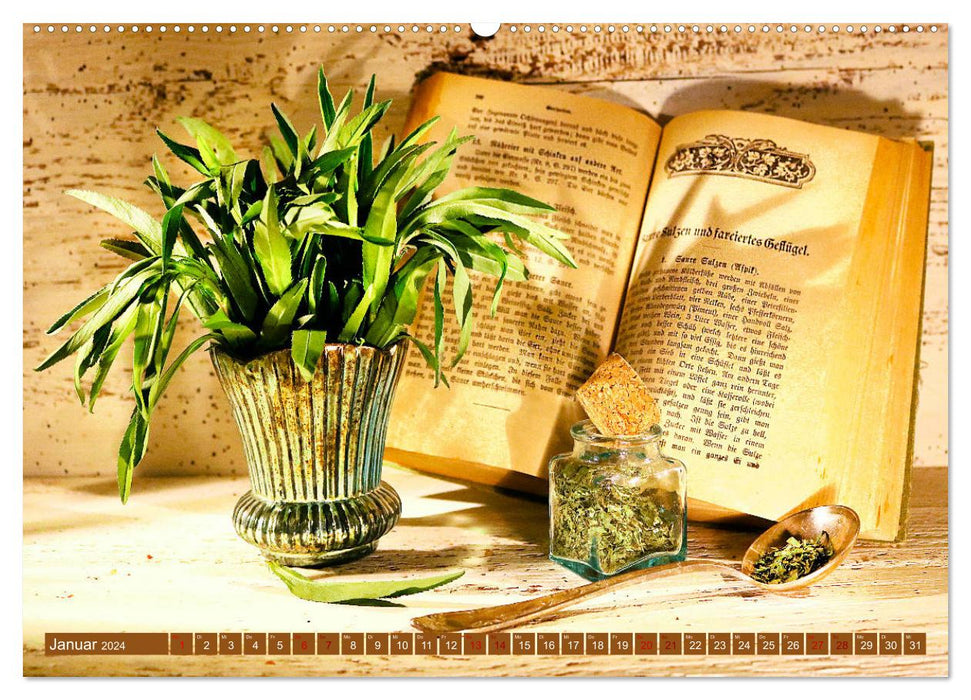 Nostalgie des herbes de cuisine (Calendrier mural CALVENDO Premium 2024) 