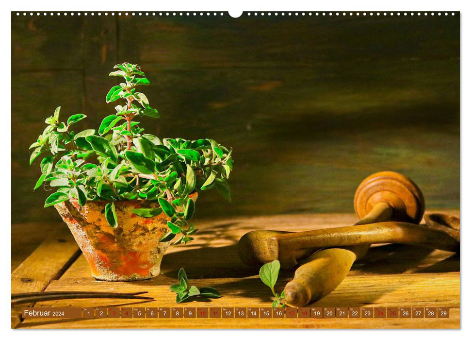 Kitchen herbs nostalgia (CALVENDO Premium wall calendar 2024) 