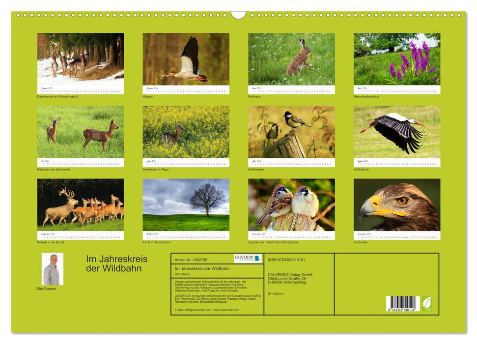 In the annual cycle of the wild (CALVENDO wall calendar 2024) 