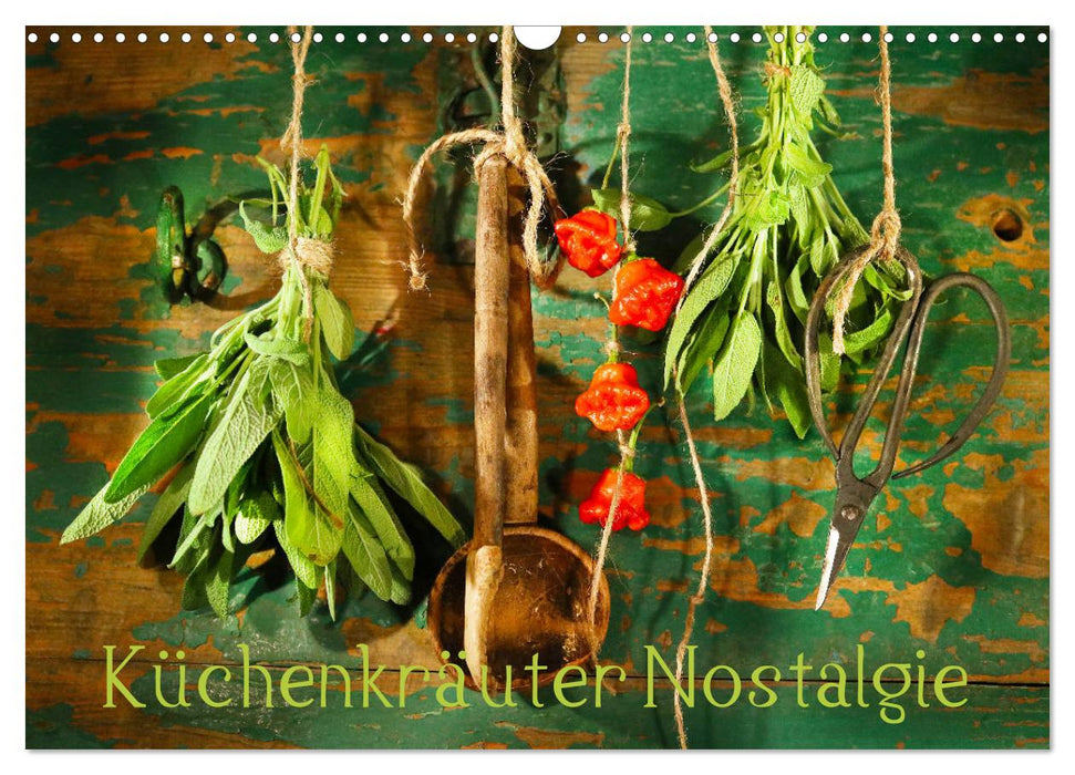 Kitchen herbs nostalgia (CALVENDO wall calendar 2024) 