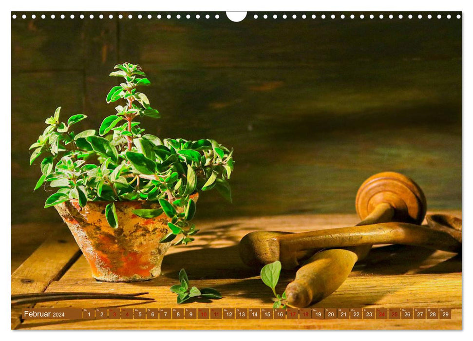 Nostalgie des herbes de cuisine (Calendrier mural CALVENDO 2024) 