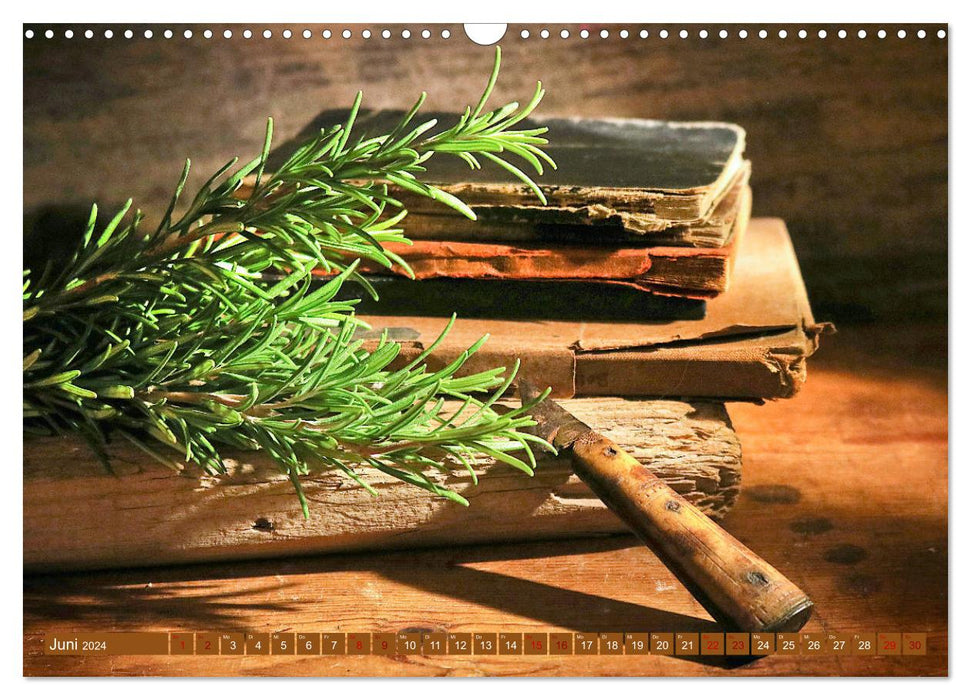 Kitchen herbs nostalgia (CALVENDO wall calendar 2024) 