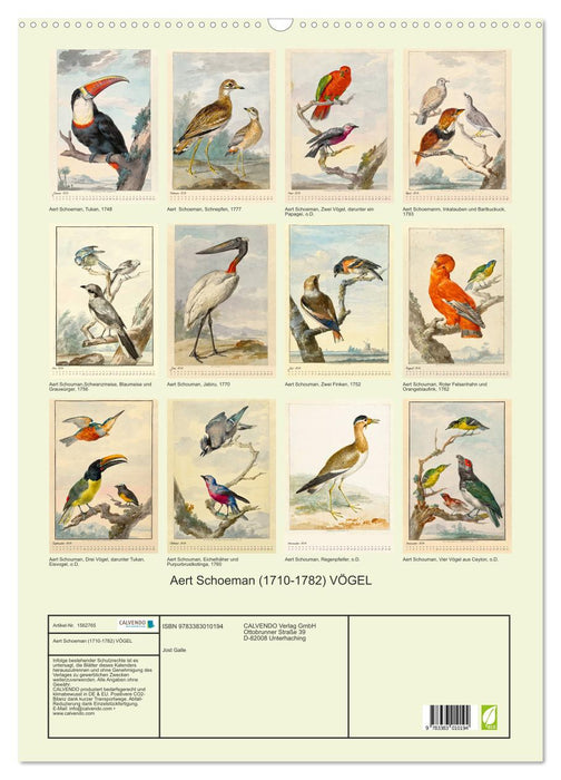 Aert Schouman. OISEAUX (Calendrier mural CALVENDO 2024) 