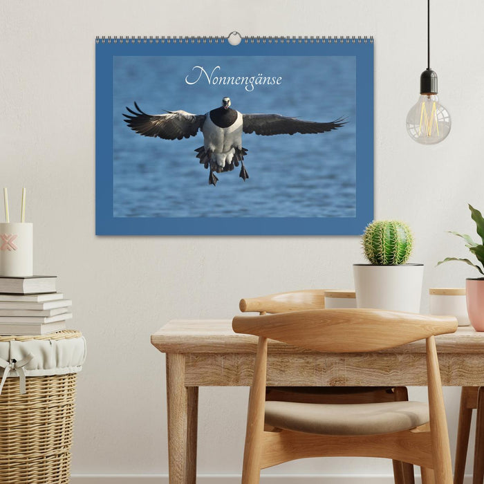 Barnacle geese (CALVENDO wall calendar 2024) 