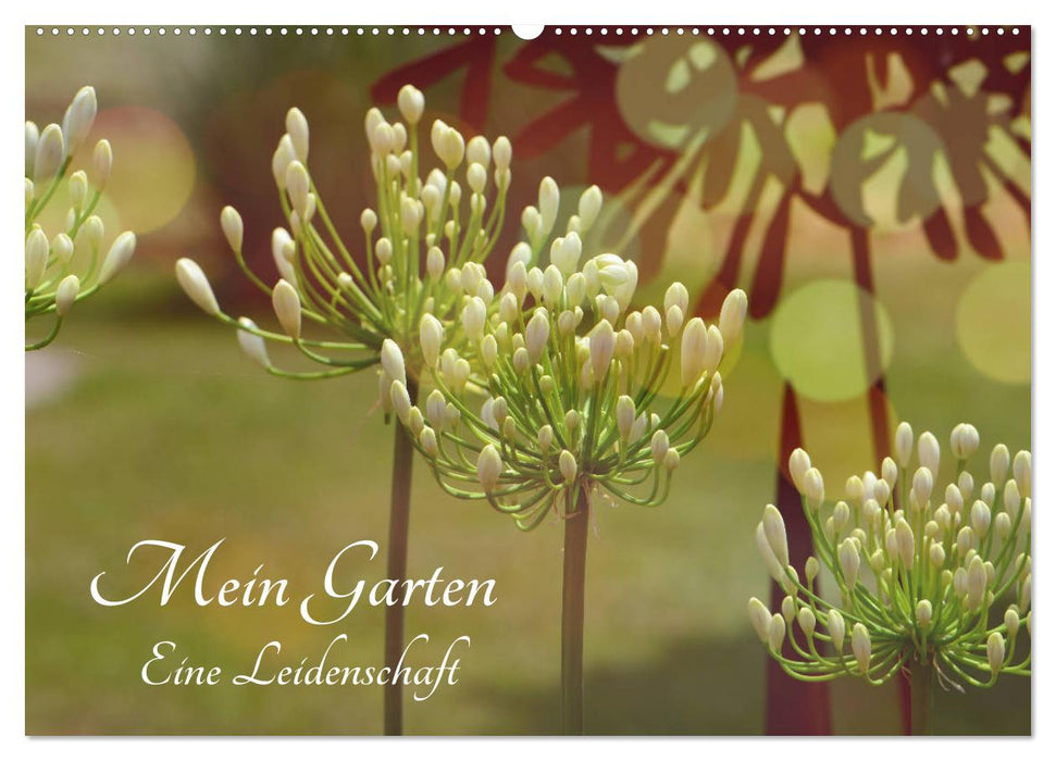 My Garden A Passion (CALVENDO Wall Calendar 2024) 