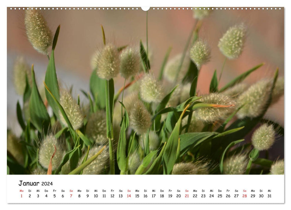 Mon jardin, une passion (Calendrier mural CALVENDO 2024) 