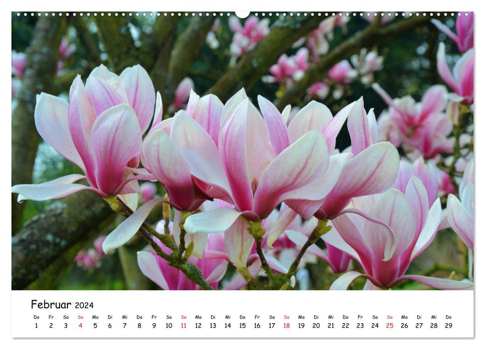 Mon jardin, une passion (Calendrier mural CALVENDO 2024) 