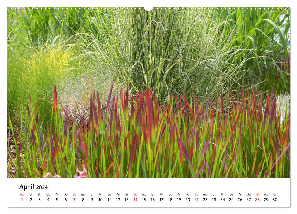 Mon jardin, une passion (Calendrier mural CALVENDO 2024) 