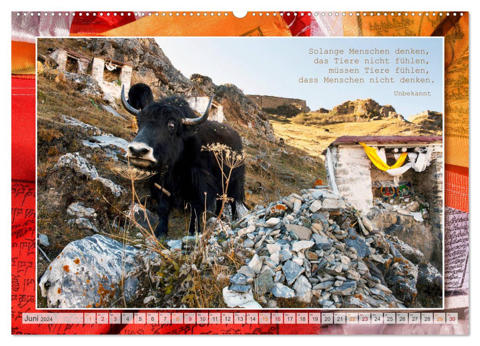Colors of Tibet (CALVENDO Premium Wall Calendar 2024) 