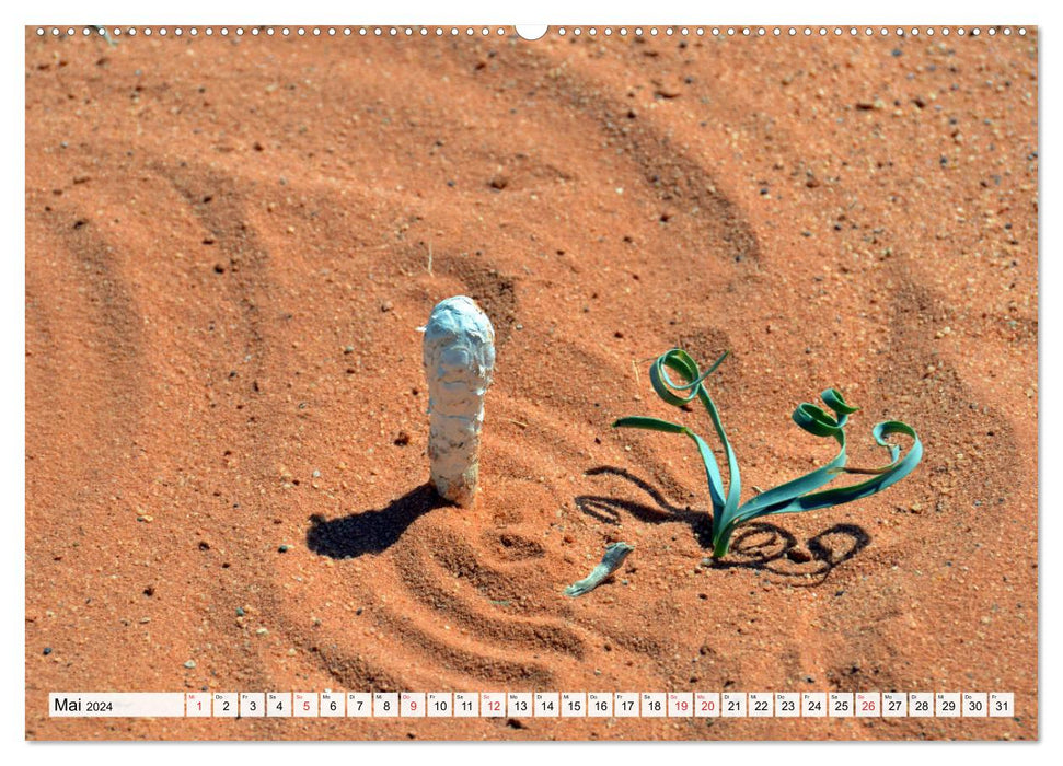 WADI RUM, the unique rocky desert in Jordan (CALVENDO wall calendar 2024) 