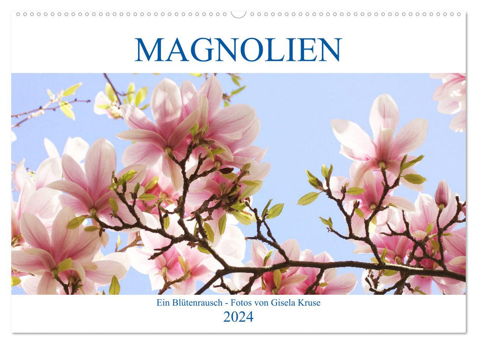 Magnolias A Rush of Flowers (CALVENDO Wall Calendar 2024) 