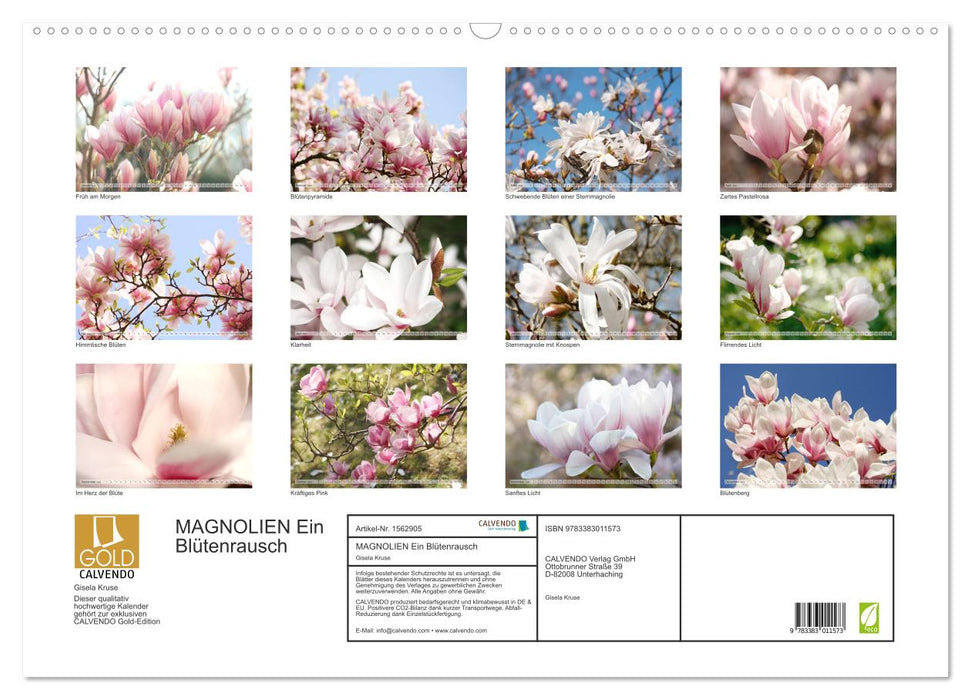 Magnolias A Rush of Flowers (CALVENDO Wall Calendar 2024) 
