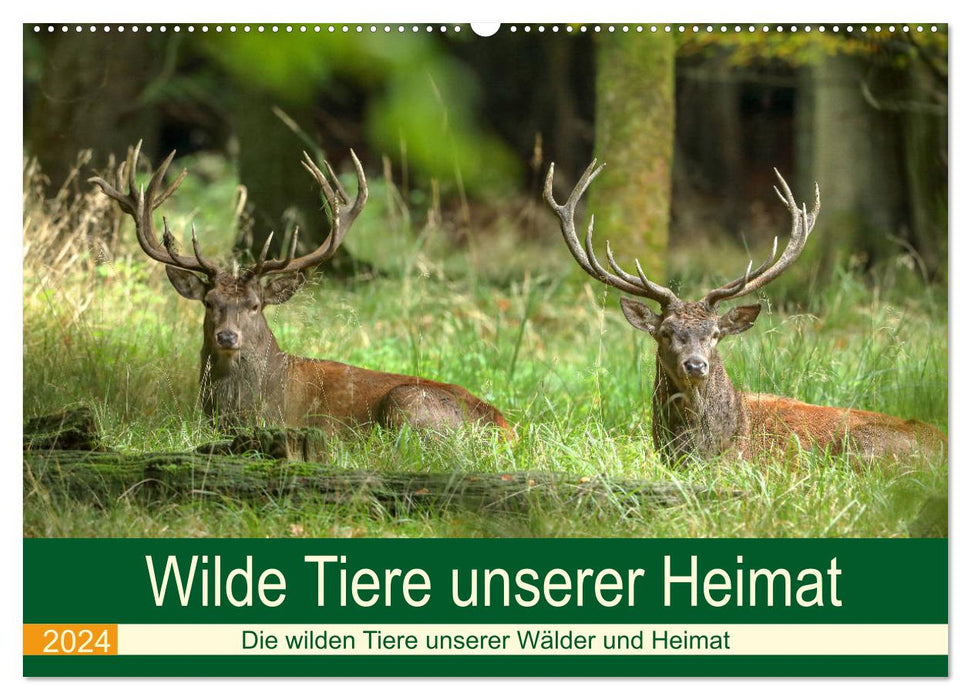 Wilde Tiere unserer Heimat (CALVENDO Wandkalender 2024)