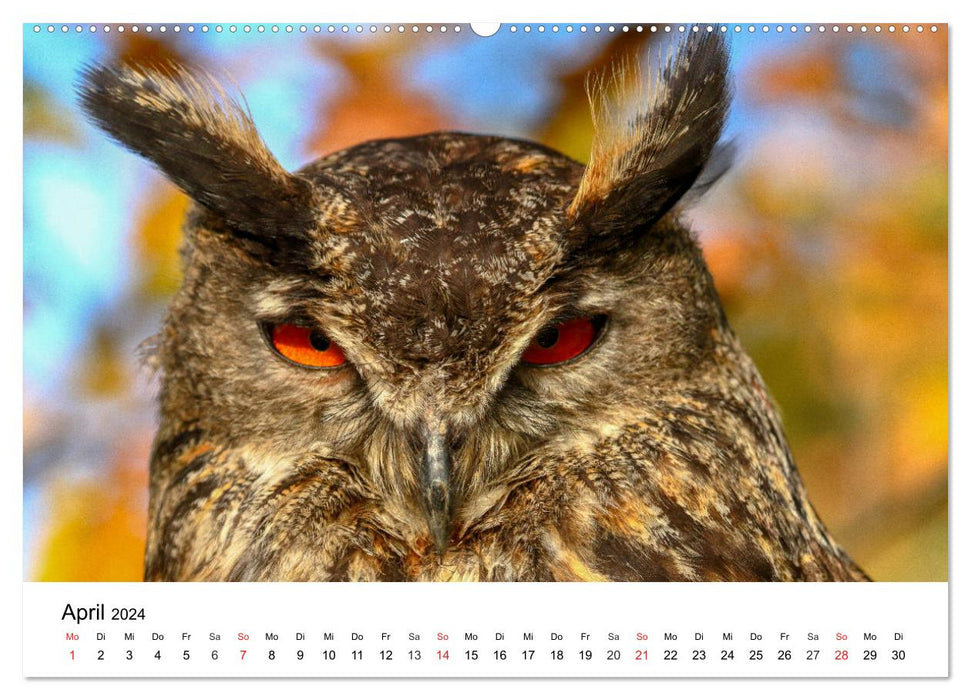 Wild animals of our homeland (CALVENDO wall calendar 2024) 