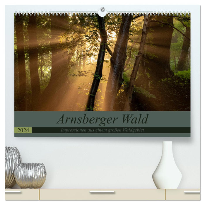 Forêt d'Arnsberg (Calvendo Premium Calendrier mural 2024) 