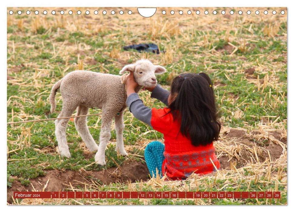 Peru Altiplano 2024 (CALVENDO Wandkalender 2024)