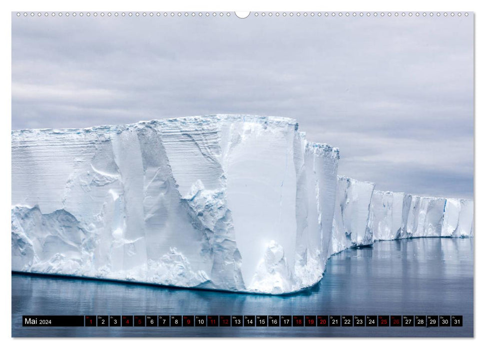 Der Eiskalte Süden. Die Antarktis (CALVENDO Wandkalender 2024)