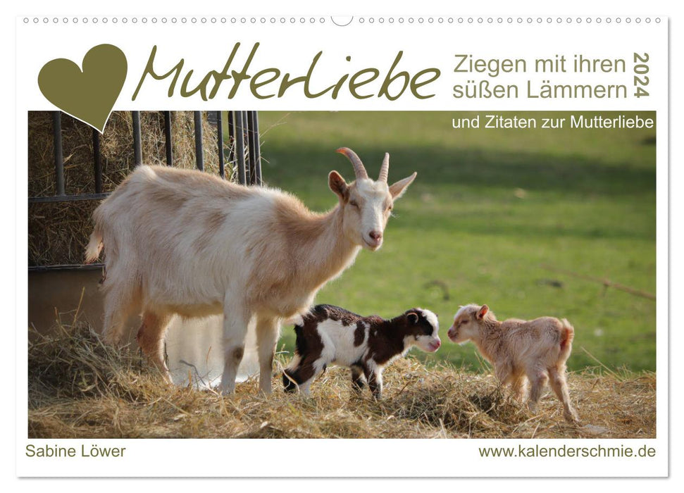 Amour maternel - chèvres et leurs doux agneaux (calendrier mural CALVENDO 2024) 