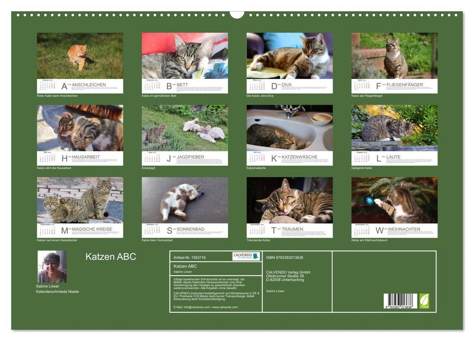 Chats ABC (Calendrier mural CALVENDO 2024) 