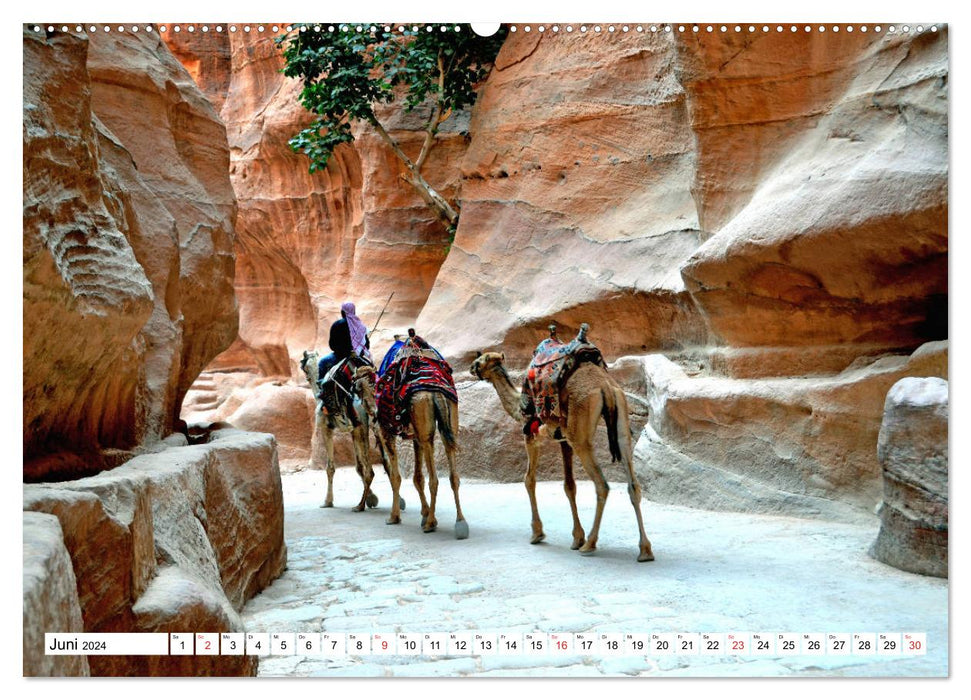 JORDANIE, Fascination du Moyen-Orient (Calvendo Premium Wall Calendar 2024) 