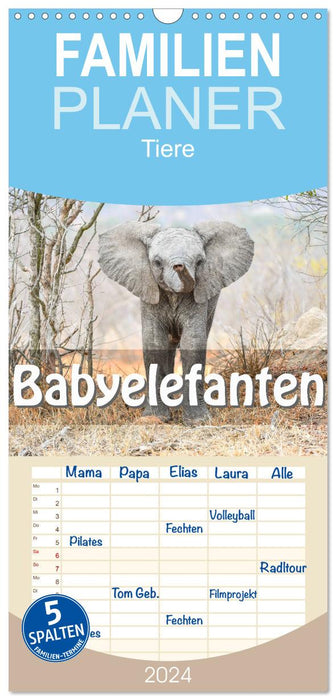 Babyelefanten (CALVENDO Familienplaner 2024)