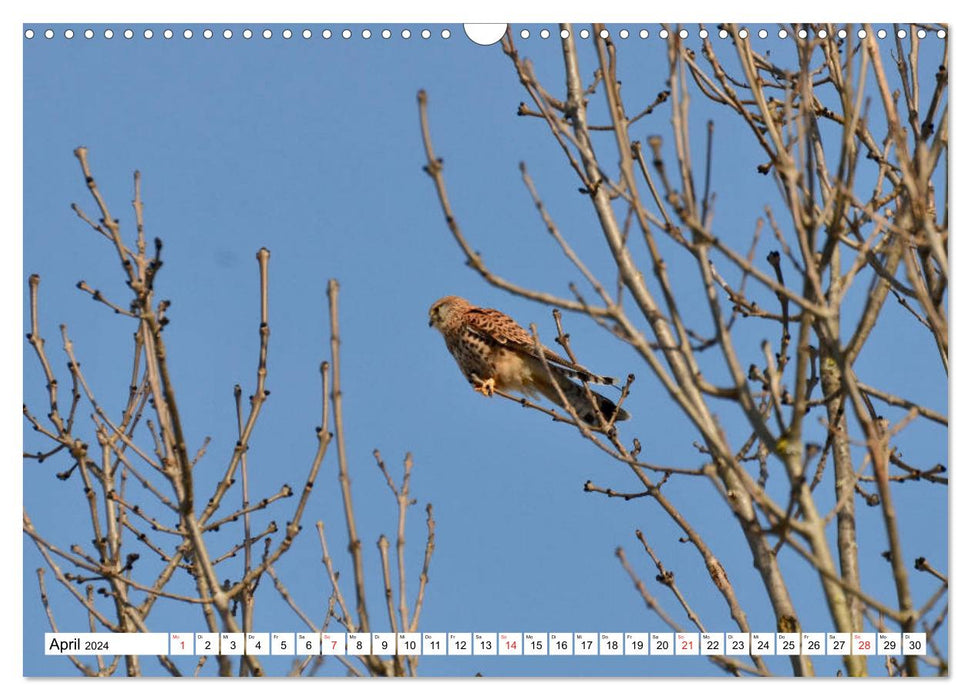 Zauberhaftes Mangfalltal (CALVENDO Wandkalender 2024)