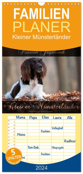 Passion Jagdhund - Kleiner Münsterländer (CALVENDO Familienplaner 2024)