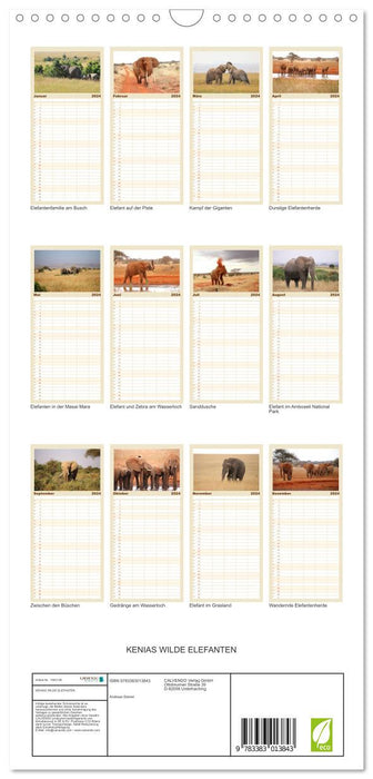 Kenias wilde Elefanten (CALVENDO Familienplaner 2024)