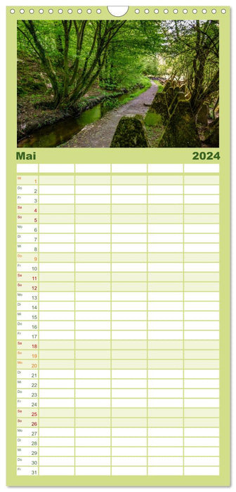 Wege des einfachen Glücks - Spaziergänge im Wald (CALVENDO Familienplaner 2024)