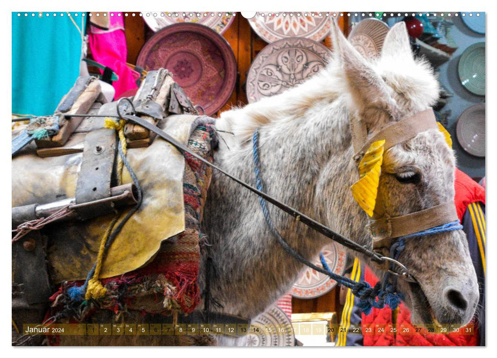Wundervolles Marokko (CALVENDO Premium Wandkalender 2024)