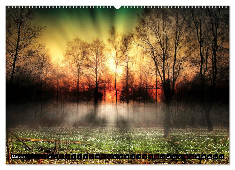 Landscapes in the light - picturesque and enchanting (CALVENDO wall calendar 2024) 