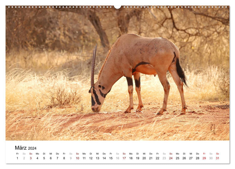 Kenias erstaunliche Tierwelt (CALVENDO Premium Wandkalender 2024)