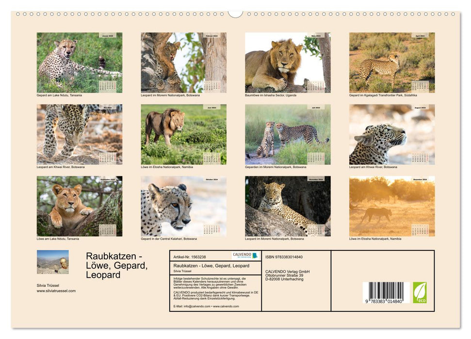 Big cats - lion, cheetah, leopard (CALVENDO Premium wall calendar 2024) 