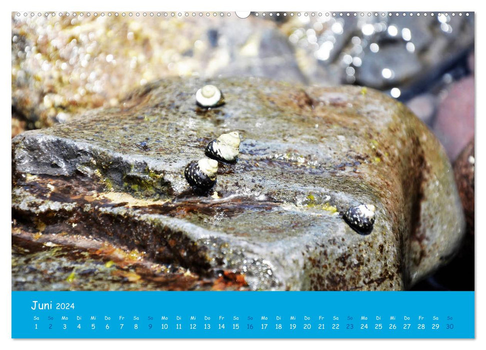 Cabo verde island whispers - Ilha do Sal (CALVENDO Premium Wall Calendar 2024) 